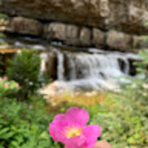 Meet your Posher, Julia